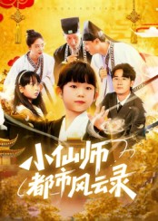 小仙师都市风云录封面图